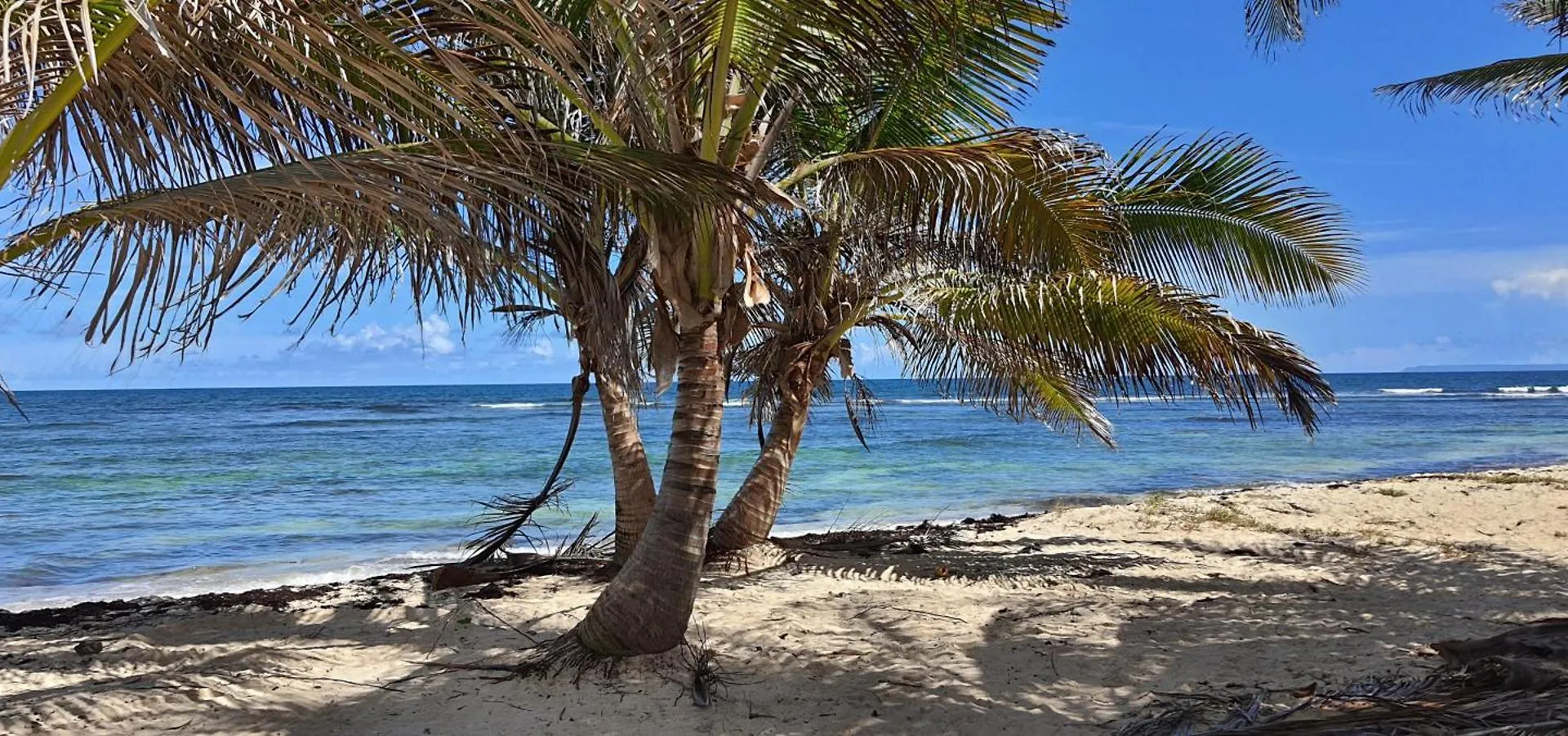 Holiday home Les Koki Villa Gwada Blue Saint-Francois